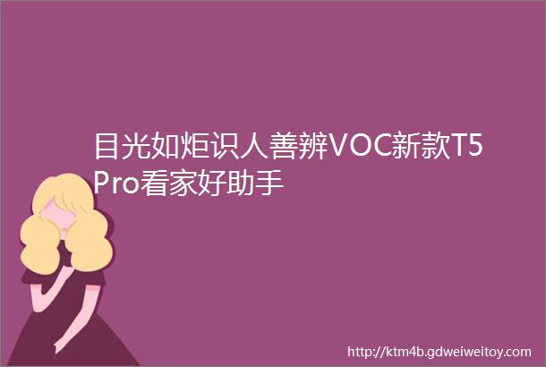 目光如炬识人善辨VOC新款T5Pro看家好助手